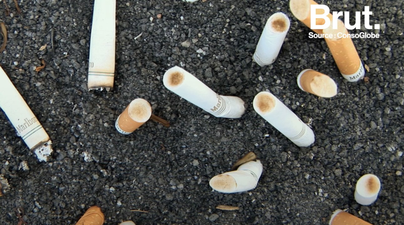 Mégot de cigarette : un déchet ordinaire et toxique