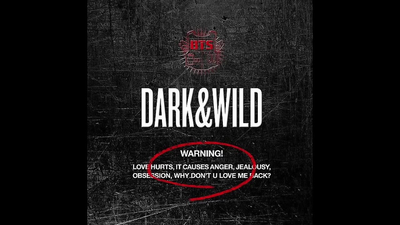 BTS - Does That Make Sense Instrumental with BG Vocals