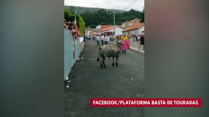 Shocking Video Shows Man Fighting Bull While Holding Small Child