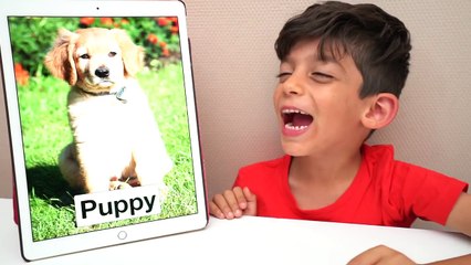 Learn Animals for Kids with Jason | Funny Education