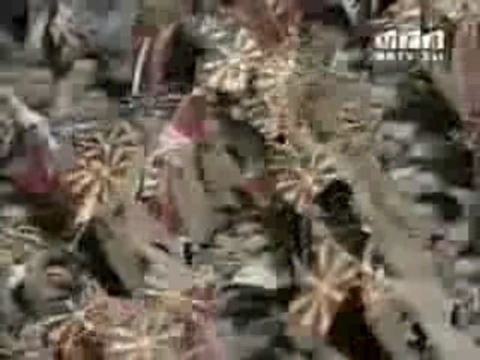 Tose_Denes nad Makedonija