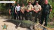 Monster 13-Foot Gator Captured In Florida