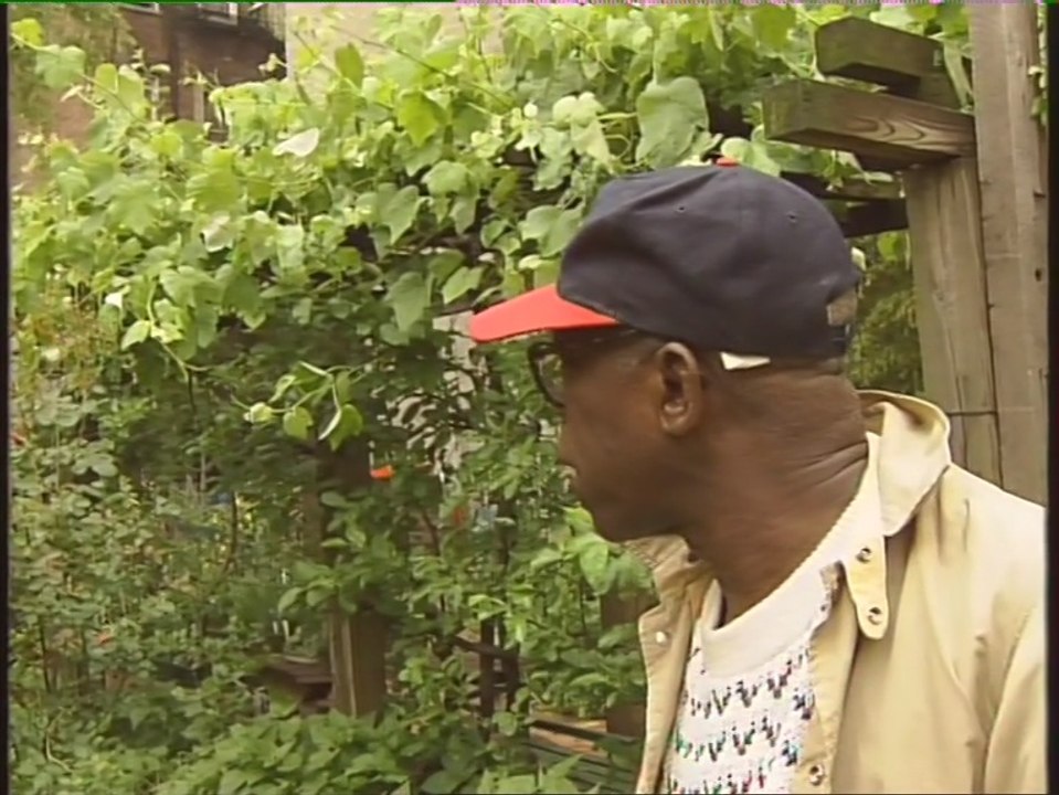 les jardins de New York
