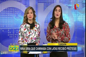 Holanda: gato “figureti” interrumpe entrevista en vivo de analista político y se viraliza