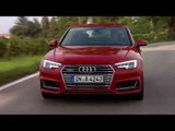 Audi A4 Sedan - Tango Red Driving Video | AutoMotoTV