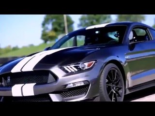 Ford Shelby GT350 Mustang Owners Get Complimentary Performance | AutoMotoTV
