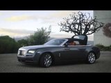 Rolls-Royce DAWN SOUTH AFRICA - Design in Silver | AutoMotoTV