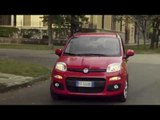 2017 Fiat Panda Driving Video in Red | AutoMotoTV