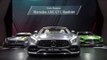 World premiere Mercedes-AMG GT C Roadster at 2016 Paris Motor Show | AutoMotoTV