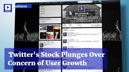 Twitter's Stock Plunges Over Concern of User Growth