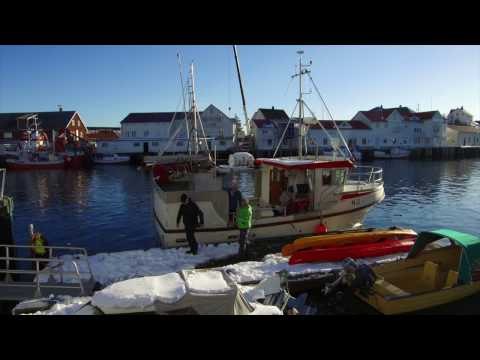 2017 Volkswagen VW T6 California 2017 Trip to the Lofoten Islands in the Camper | AutoMotoTV