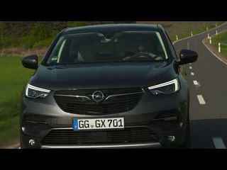 Opel Grandland X in Grey Exterior