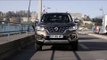 2017 Renault, over a century of expertise in LCV renault Colorale Pick up and Renault Alaskan LCV