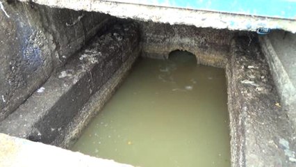 Zonguldak'ta Vahşet