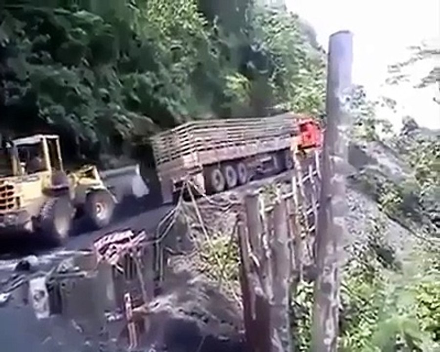 Courage or insanity