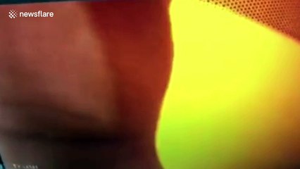 Good Samaritans rescue people trapped in car that fell in river