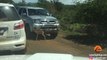 Ce bébé impala chassé par des guépards se réfugie entre les voitures