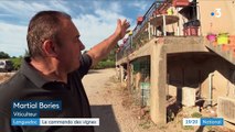 Languedoc : le commando des vignes