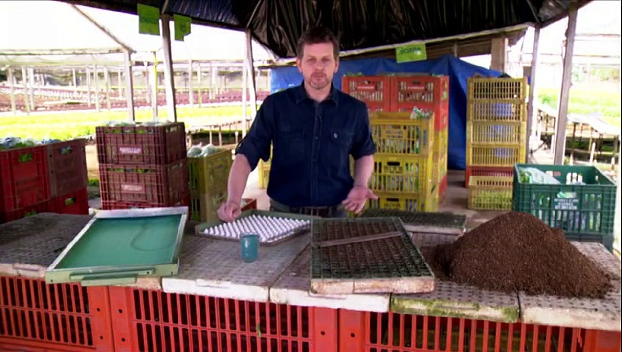 GLOBO RURAL 26-04-2015 PARTE 1/4 Online Completo Íntegra 26/04/2015