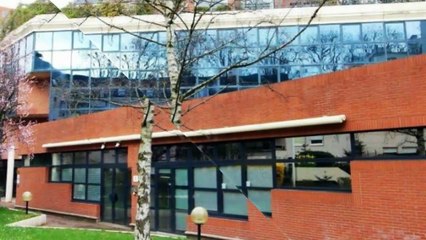 A louer - BUREAUX - ST-MAURICE (94410) - 524m²