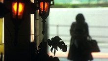 8일째 매미(1)