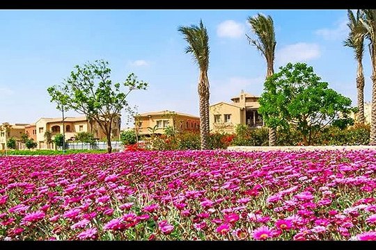 Twin House 281/SQM For Sale In Mivida Compound