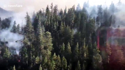Ride inside an air tanker as it drops 3,000 gallons of retardant on fire