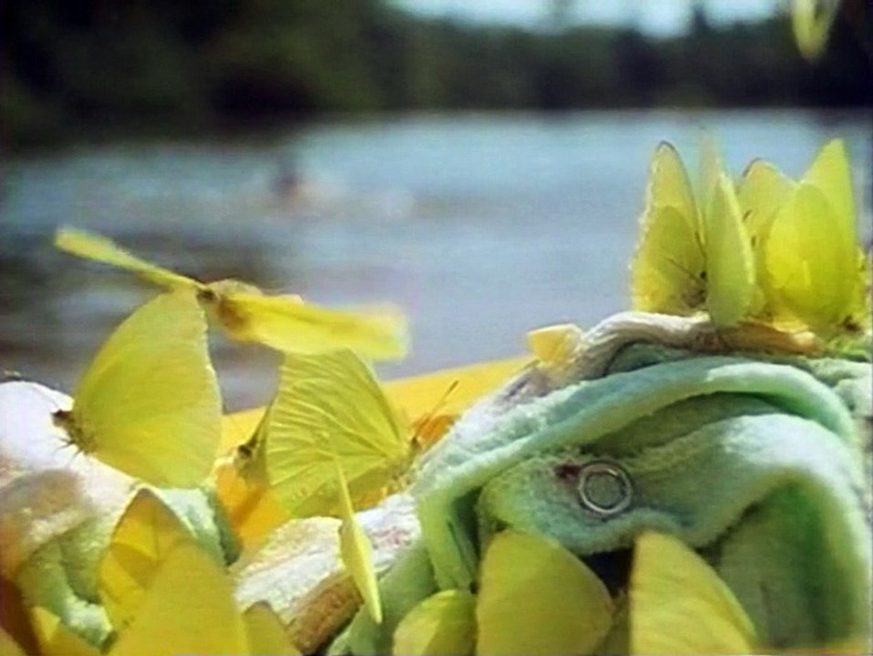 Lifesense 5of6 Human Life