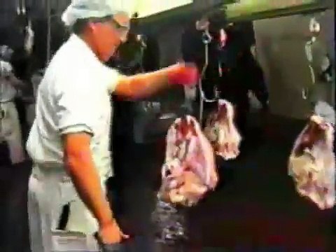 Scatterbrain - Mentally Disturbing Se7en