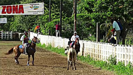 SPORT OF THE LLANEROS