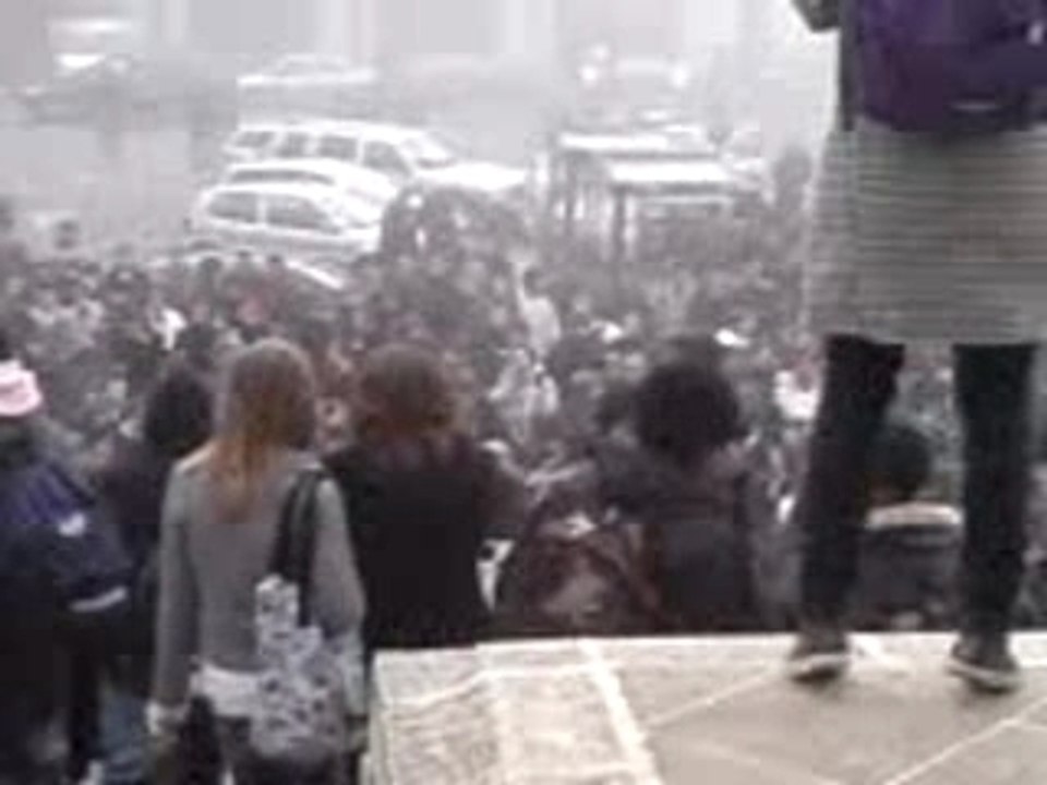 greve du 29 novembre