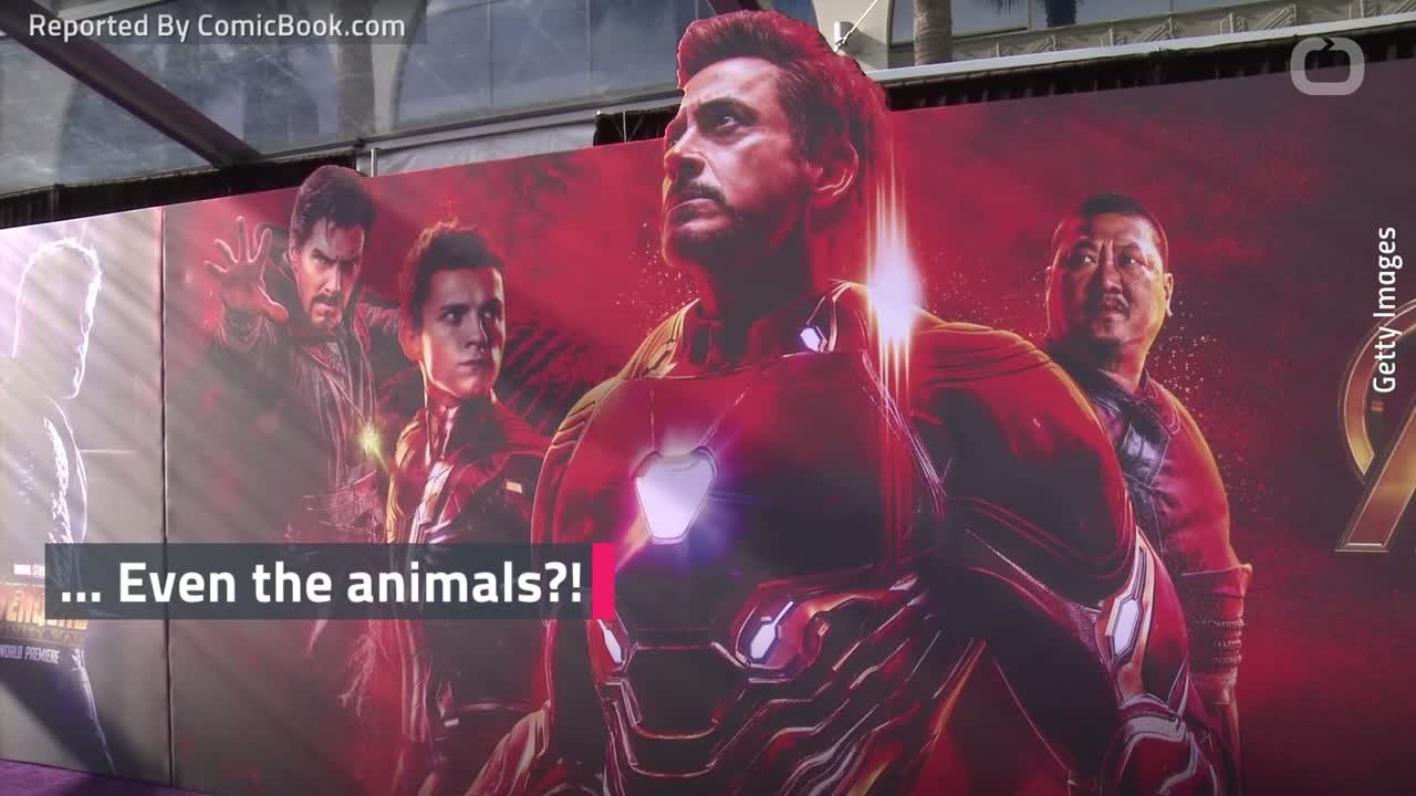 Did Thanos Kill Animals During The Snap?