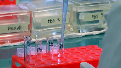 nouveau traitements contre le diabete