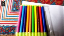 Luxor 12 Color Pens review and unboxing in Hindi ( 96)