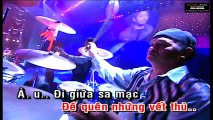 LK Bụi Đời - Chế Linh  Trường Vũ