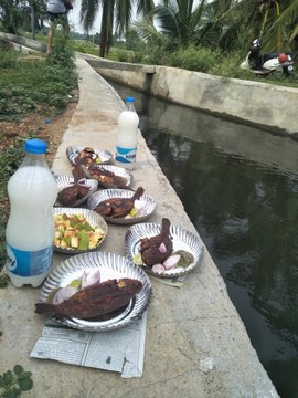 ഗ്ലാസ്സിൽ നുരയും പ്ലേറ്റിൽ കറിയും വേണ്ട, പണി കിട്ടിയത് ഇങ്ങനെ | Oneindia Malayalam