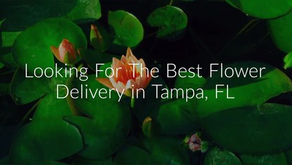 Same Day Flower Delivery in Tampa FL | (941) 241-0541