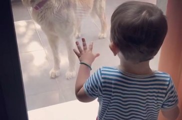 Γιος Ελληνίδας παρουσιάστριας έχει μια αξιολάτρευτη συνομιλία με τον σκύλο τους (vid)