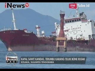 Kapal sawit kandas, terumu karang Teluk Bone rusak - iNews Pagi 19/03