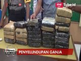 Polres Aceh Utara Berhasil Menangkap Penyelundup 101 Kg Ganja - iNews Malam 03/04