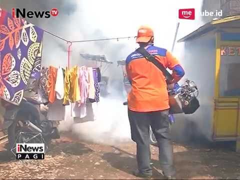 Rescue Perindo Kembali Melakukan Aksi Fogging Gratis di Rawa Buaya - iNews Pagi 11/04
