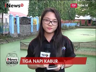 Télécharger la video: 3 Napi yang Kabur Dari Lapas Makassar Terkait Kasus Berat - iNews Petang 08/05