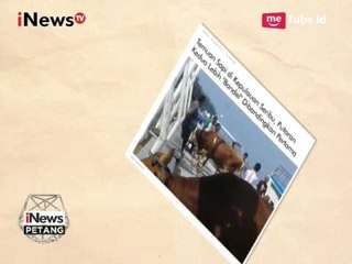 Panwaslu Ungkap Sapi Berasal Dari PDI Perjuangan - iNews Petang 18/04