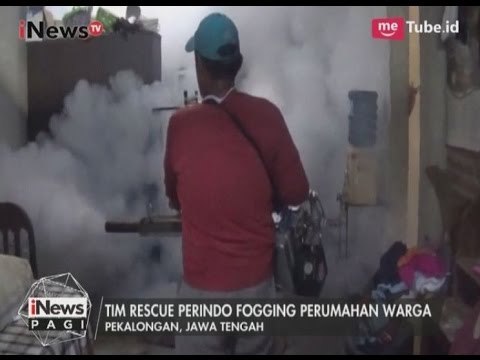 Disambut Antusias Warga, Fogging Gratis Perindo Berantas Jentik Aedes Aegyphti - iNews Pagi 01/05