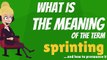 What is SPRINTING? What does SPRINTING mean? SPRINTING meaning, definition & explanation