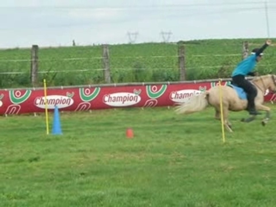 pony-games 2 drapeaux