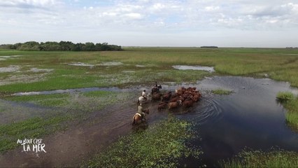[EXTRAIT] Au bout c'est la mer : le Rio Paraná - 31/07