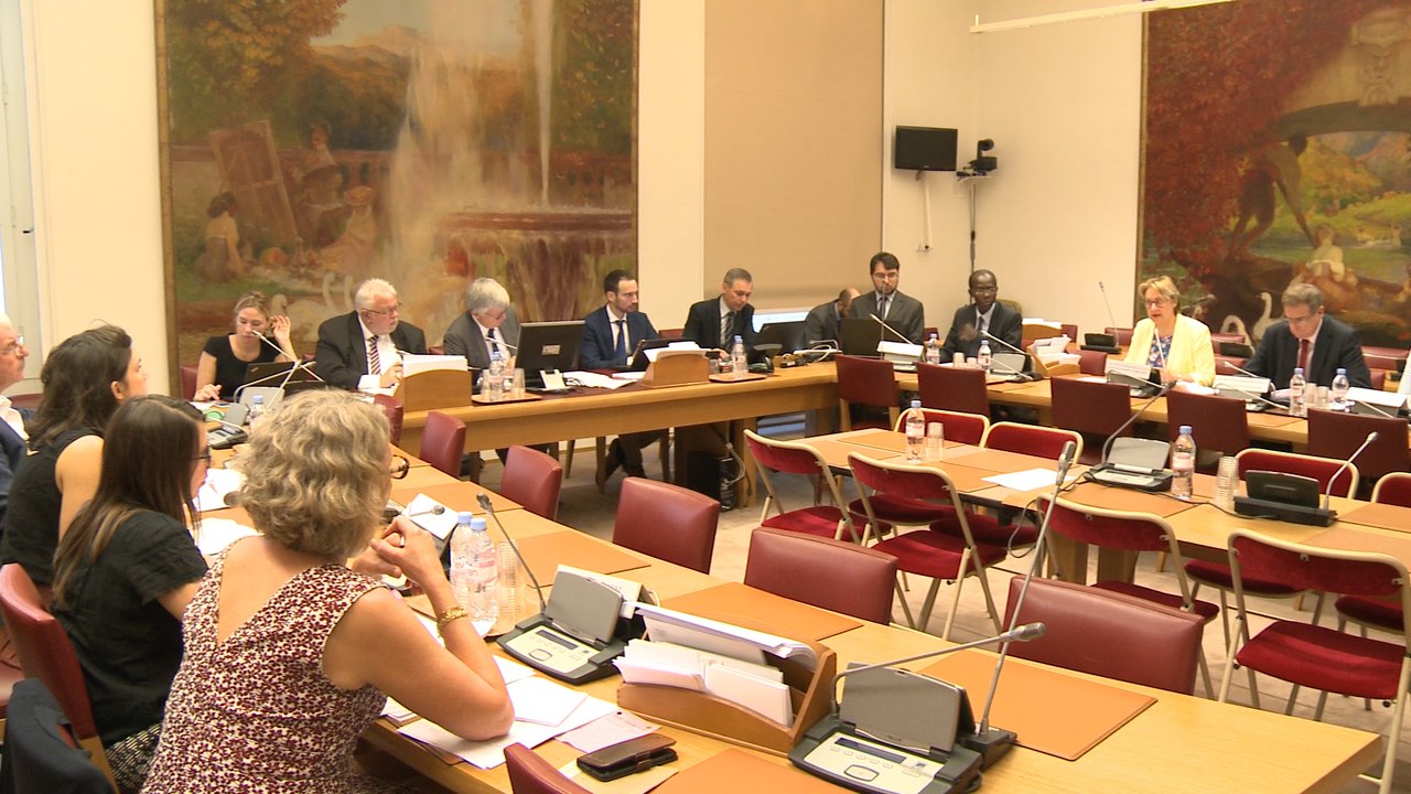 [Santé] La mission d’information sur la pénurie de médicaments et de vaccins