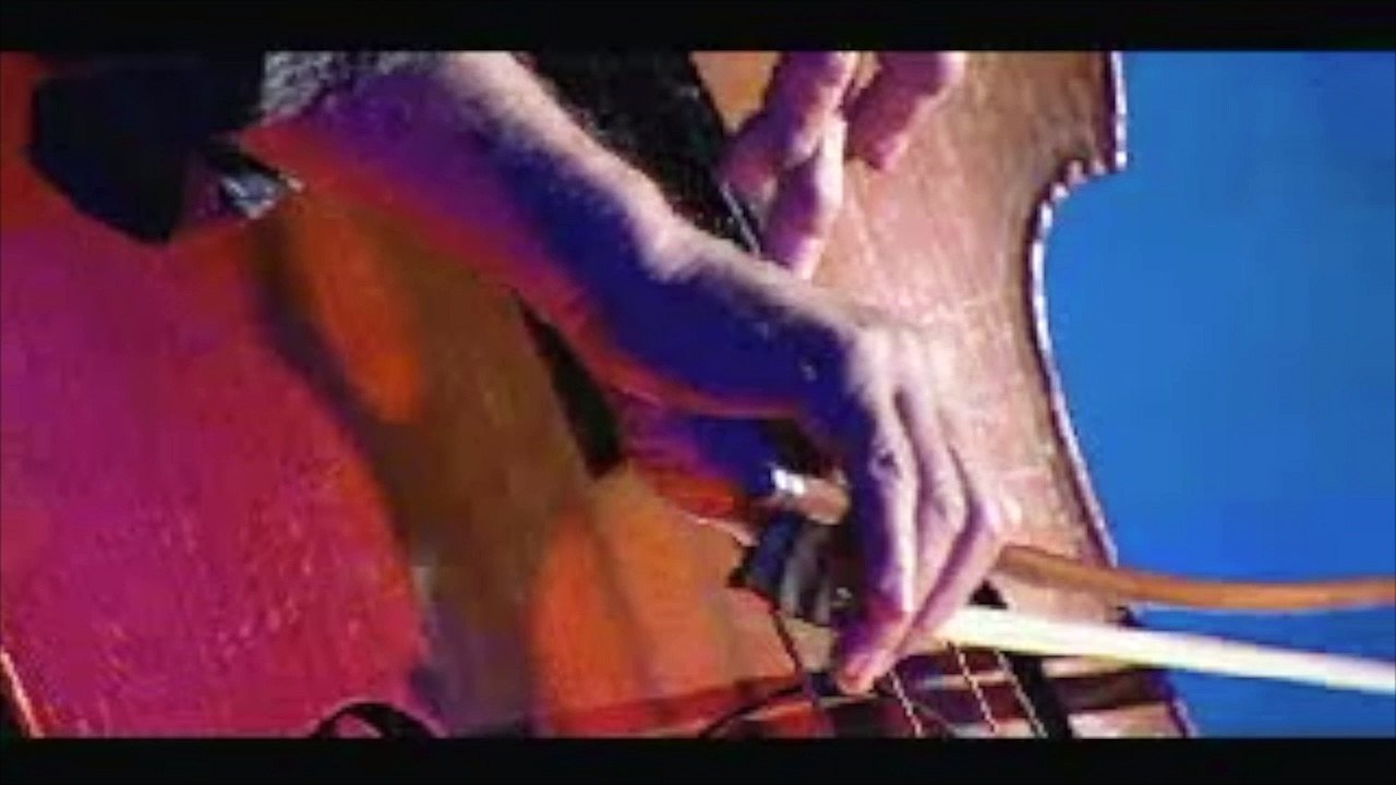 bernard abeille à la contrebasse