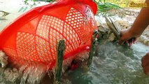 Believe This Fishing Unique Fish Trapping System Using Long Pipe  Big Plastic Bottle By Smart Boy